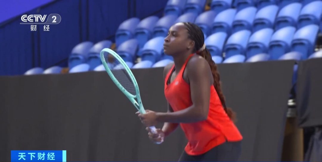 职业生涯的 职业生涯的